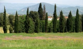 Lovely Tuscan countryside in the spring
