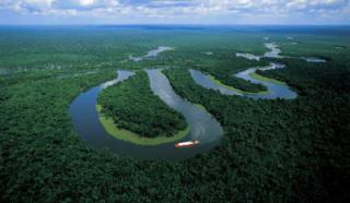 Jungles of Amazonia
