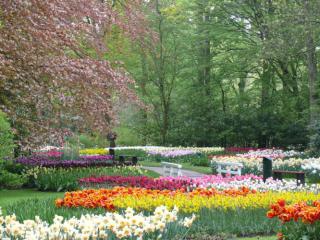 Keukenhoff Gardens (47,000 acres containing 8 million tulips)